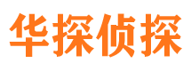 新平市私家侦探公司